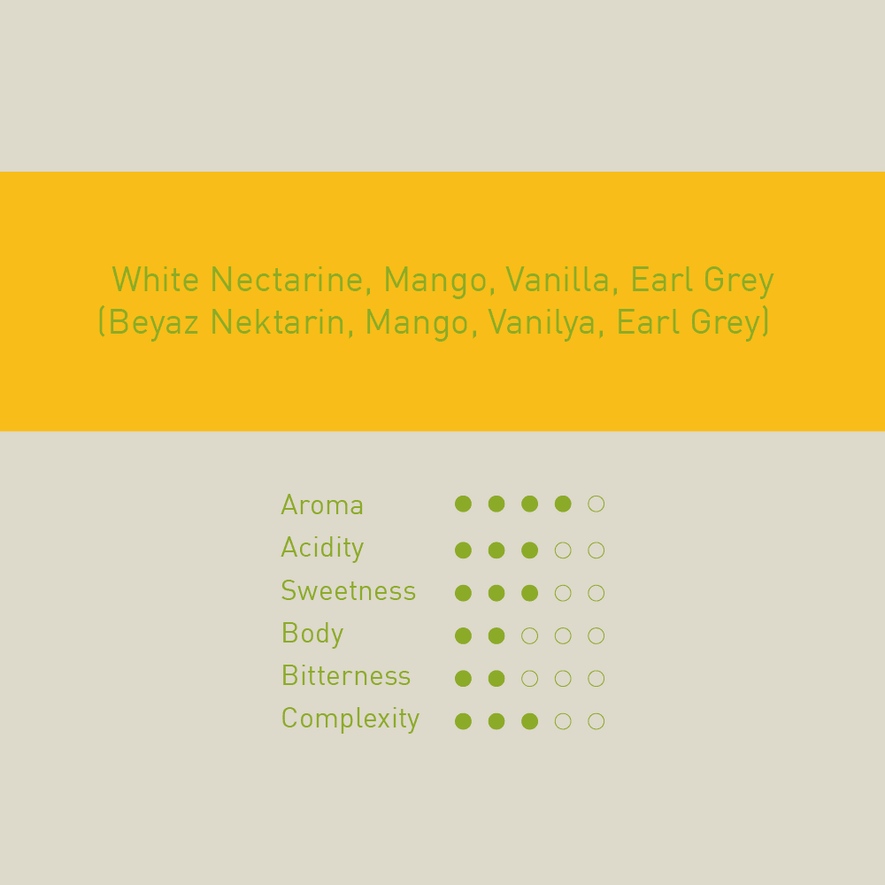 Costa Rica El Mango "Full Honey Anaerobic"