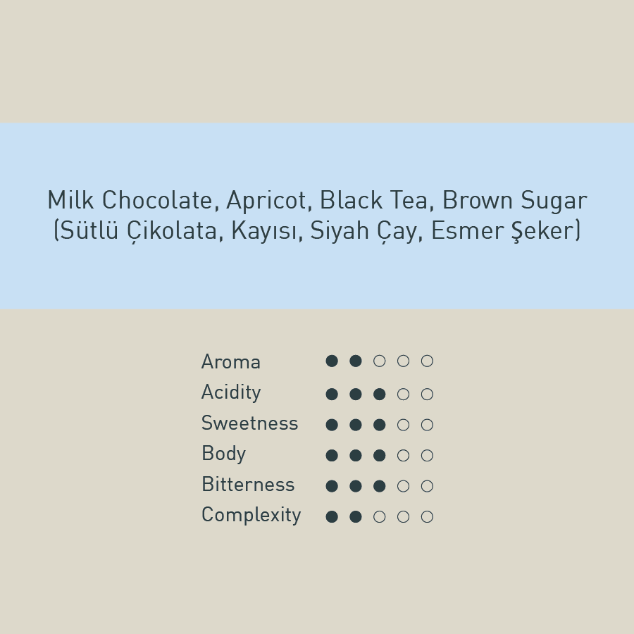 Omni Blend (Espresso & Filtre)
