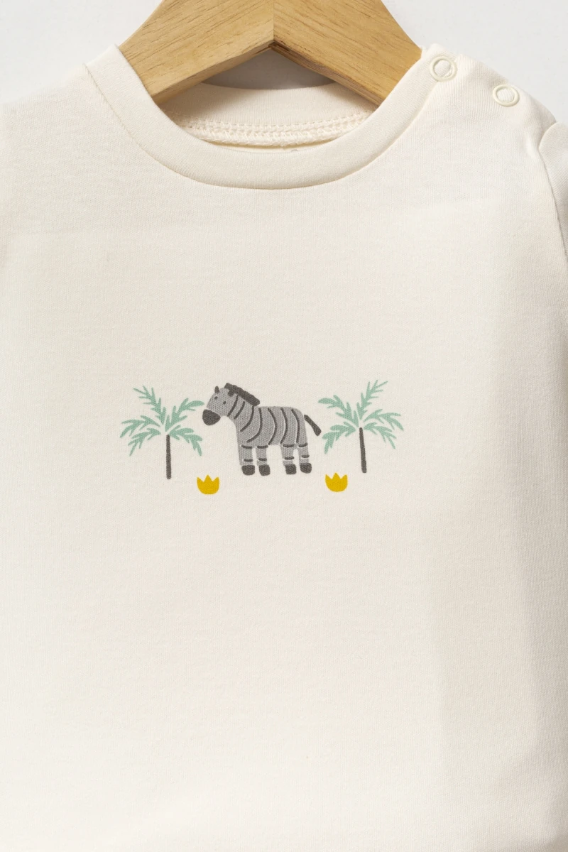 3'lü Erkek Bebek Zebralı Taş Renk Kışlık Takım