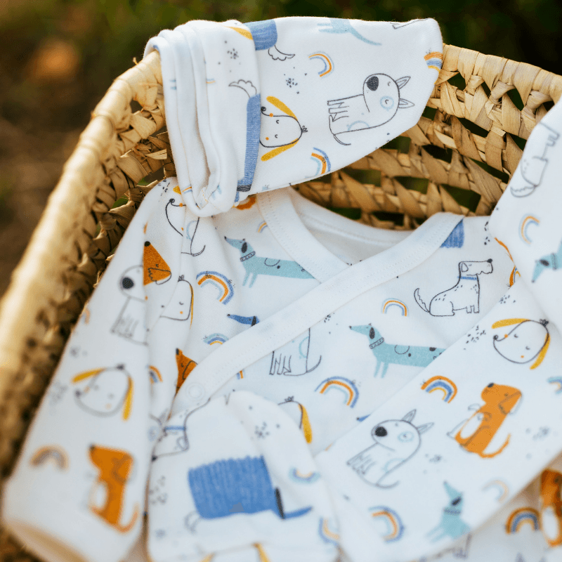 10'lu Jr. Dogs, Zıbın, Patik, Battaniye ve Taraklı Yeni Doğan Set