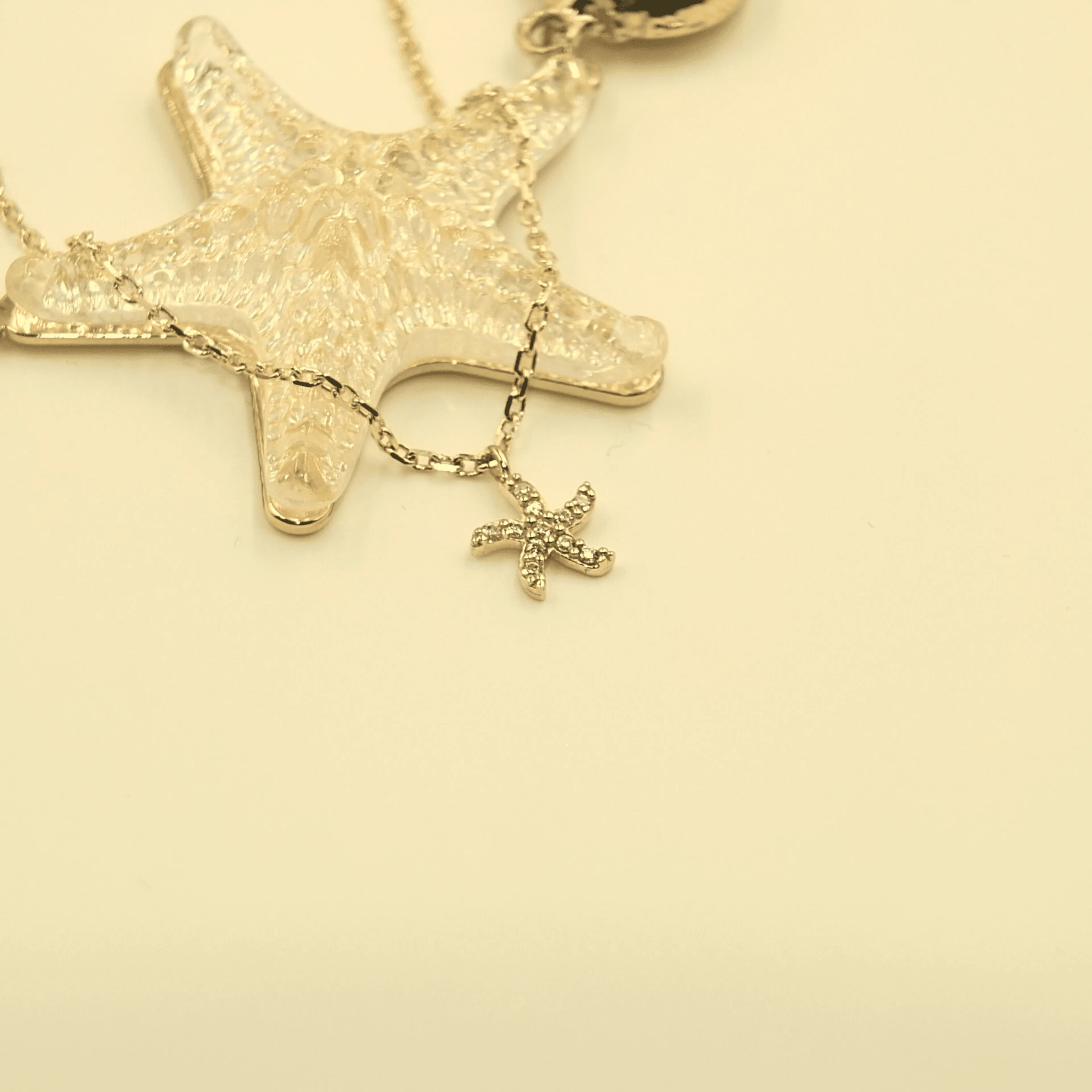 Étoile de Mer Bijou