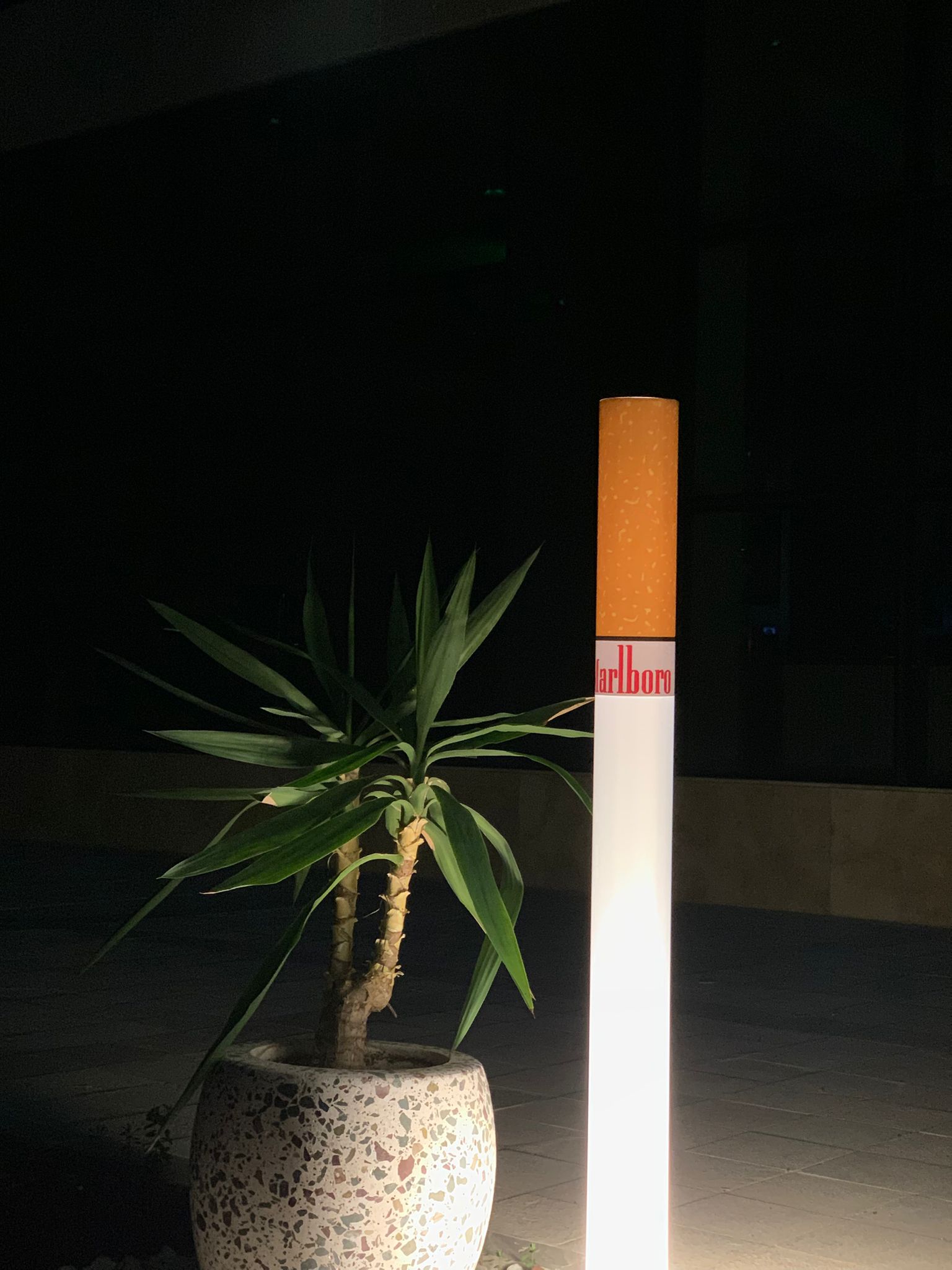 Marlboro Light
