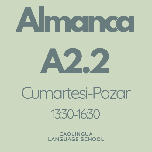 Online Almanca A2.2