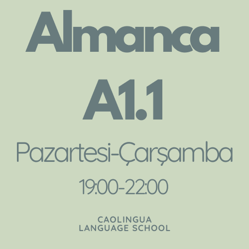 Online Almanca A1.1