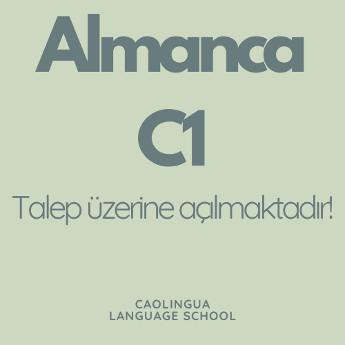 Online Almanca C1