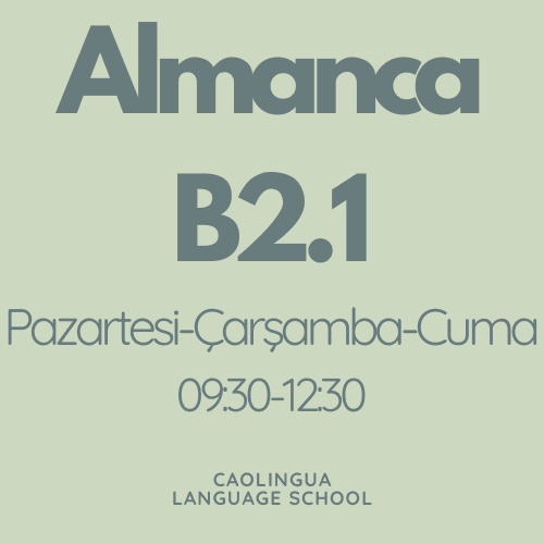 Online Almanca B2.1