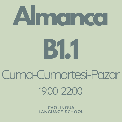 Online Almanca B1.1