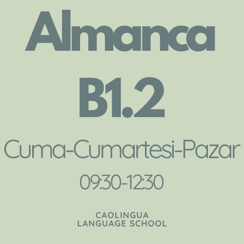 Online Almanca B1.2