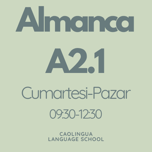 Online Almanca A2.1