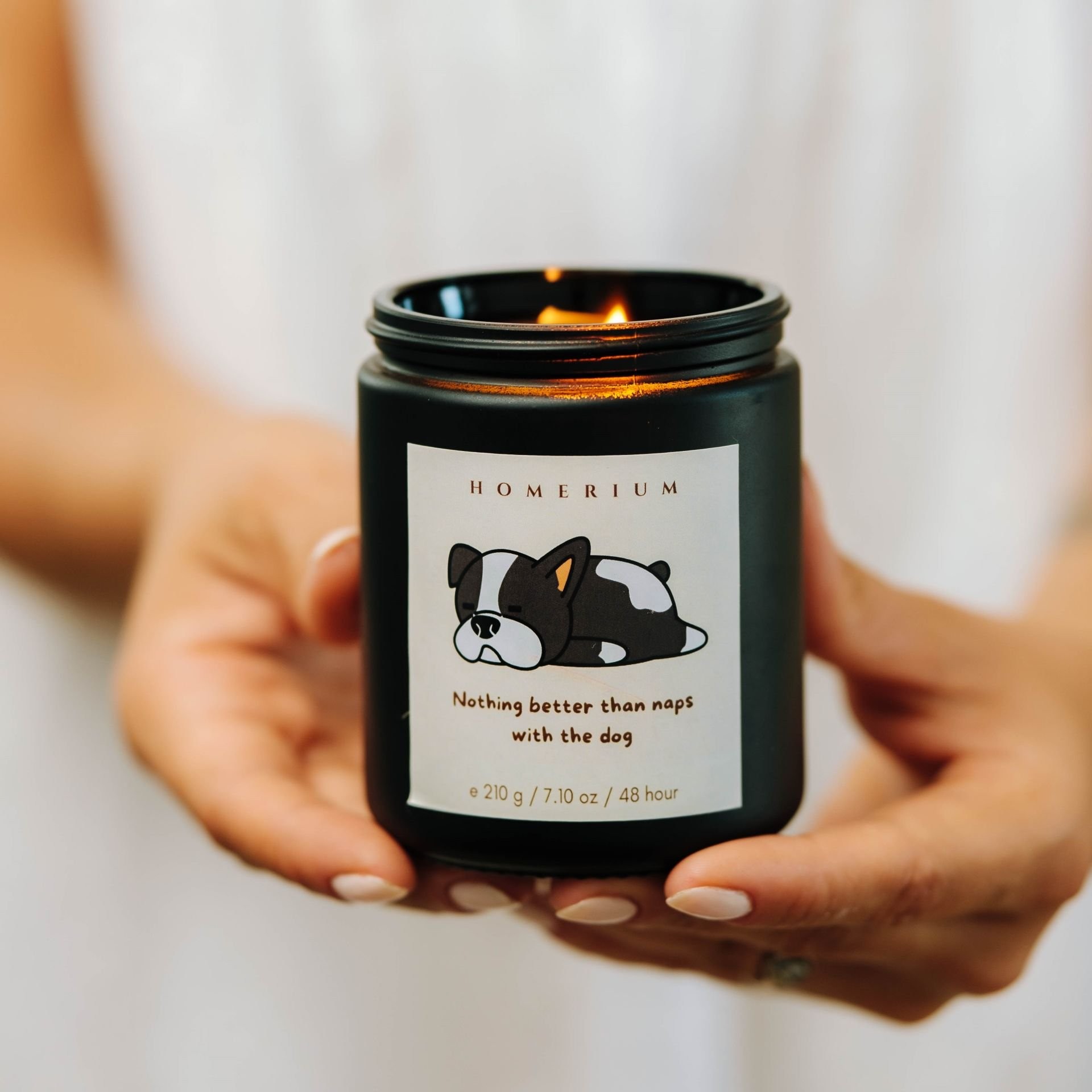 Lavender and Melissa Flavored Calming Pet Candle 210 GR