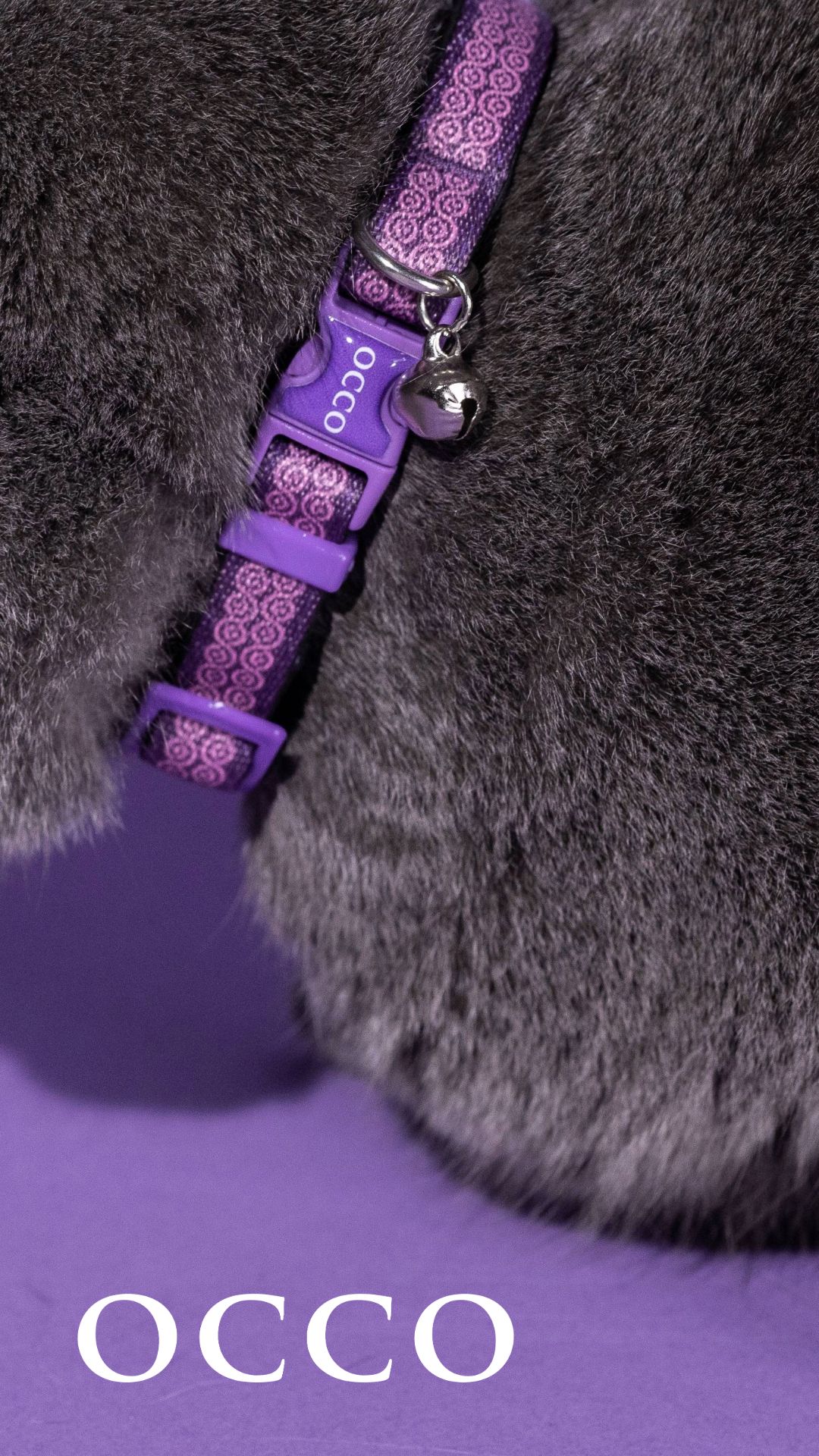 LAVANDER SAFETY KEDİ BOYUN TASMASI