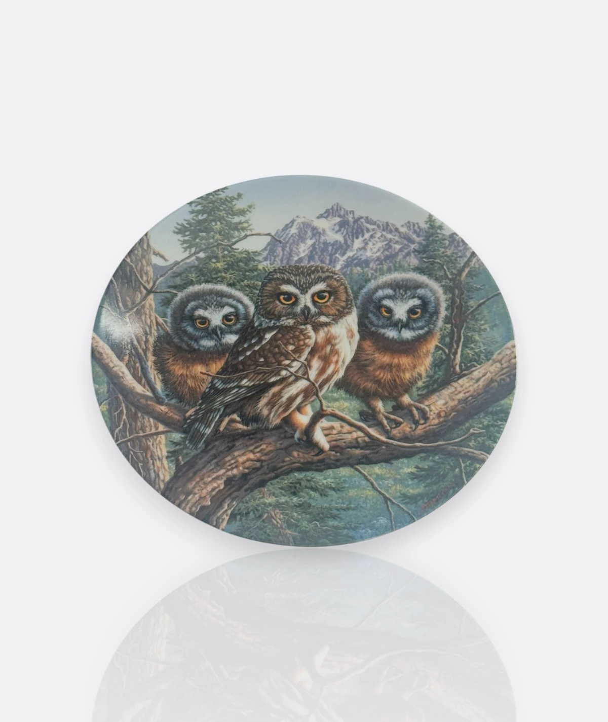 Baykuş Koleksiyon Tabakları – Wedgwood & Knowles, 1980–1990” ( 6 adet)