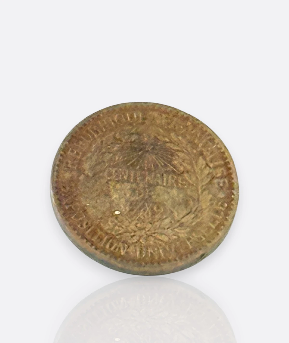 1789 Fransız Devrimi 100. Yıl Hatıra Madalyası (1889)