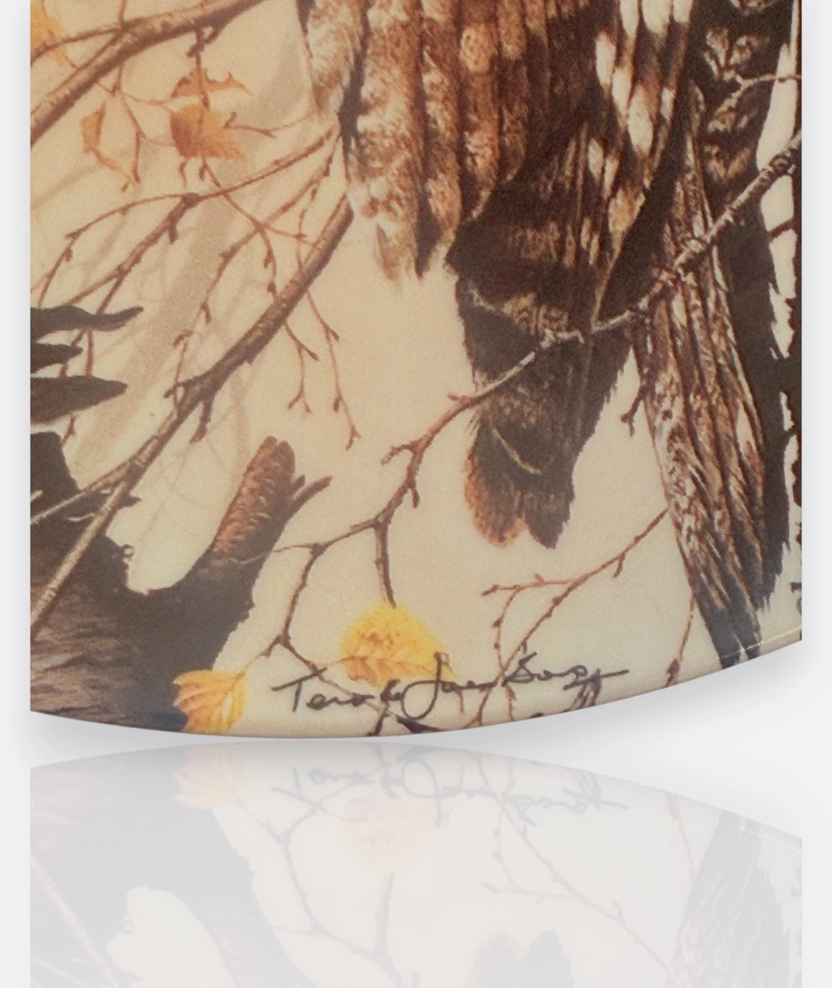 Baykuş Koleksiyon Tabakları – Wedgwood & Knowles, 1980–1990” ( 6 adet)