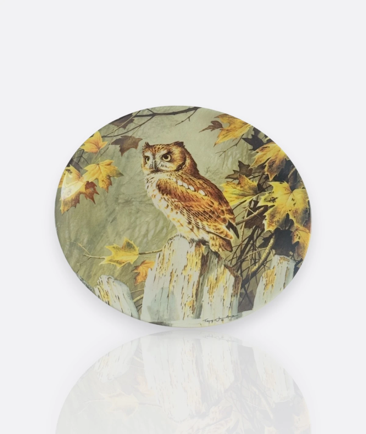 Baykuş Koleksiyon Tabakları – Wedgwood & Knowles, 1980–1990” ( 6 adet)