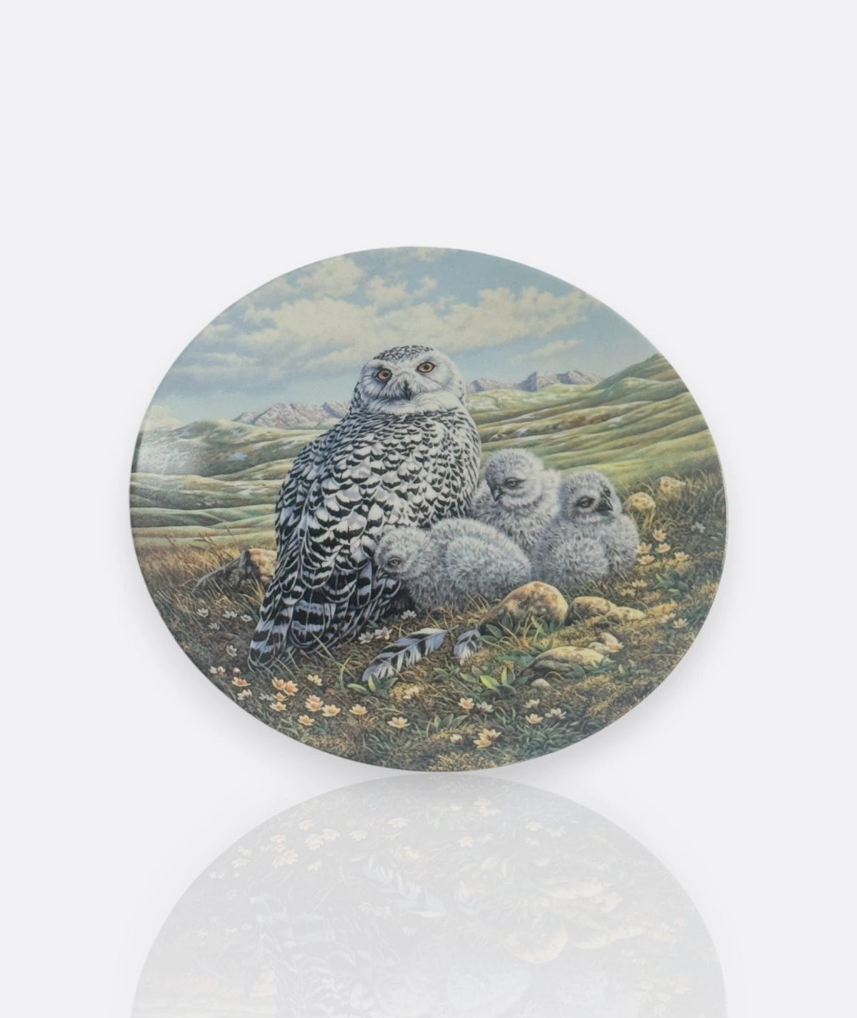 Baykuş Koleksiyon Tabakları – Wedgwood & Knowles, 1980–1990” ( 6 adet)