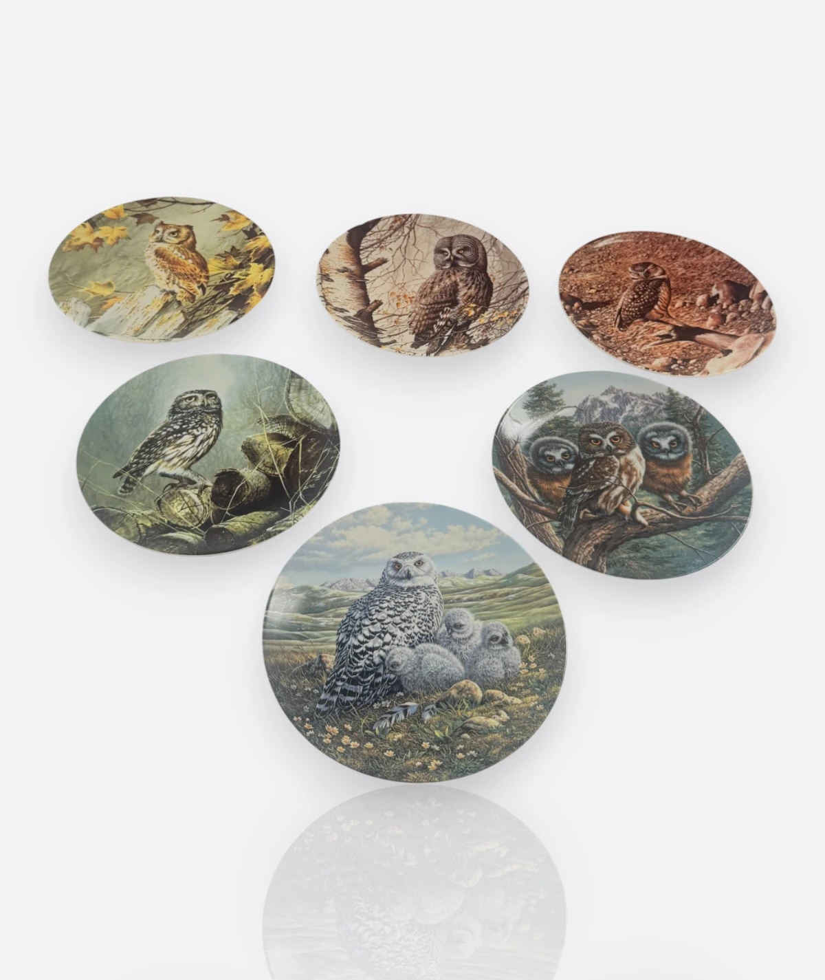 Baykuş Koleksiyon Tabakları – Wedgwood & Knowles, 1980–1990” ( 6 adet)