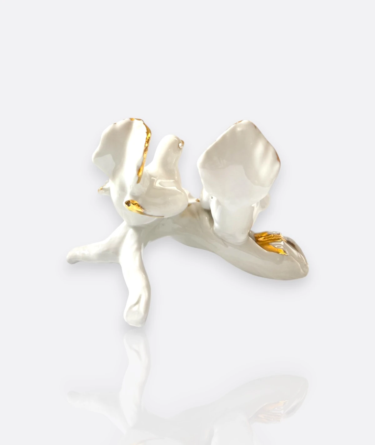 Dresden Porselen Kuş Figürleri – Almanya, 20. Yüzyıl Ortası