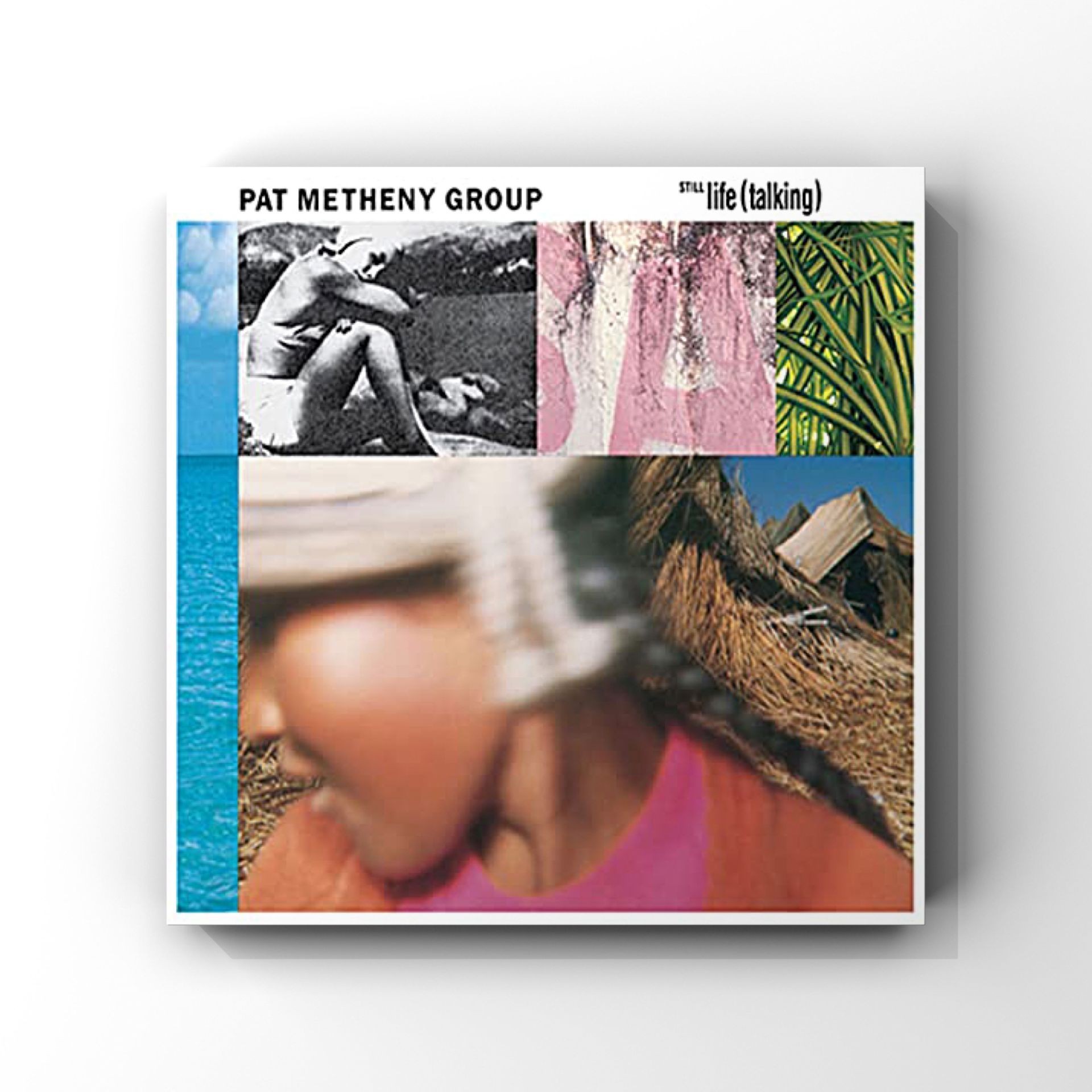 Pat Metheny Group - Still Life
