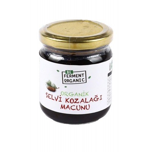 Organik Çam Kozalaklı Macun 240 Gr