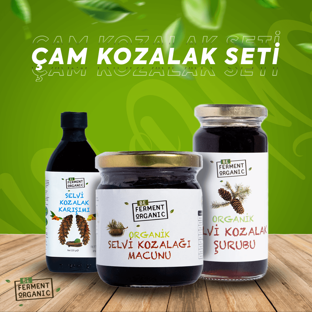Çam Kozalak Seti