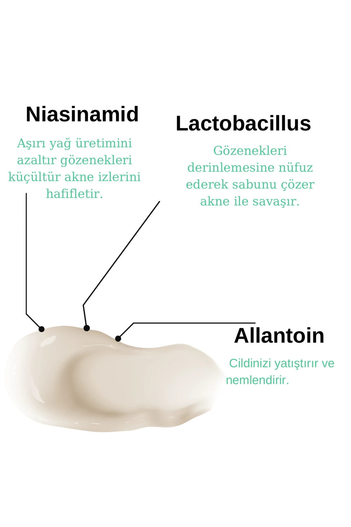 Sivilce ve Akne Karşıtı Cilt Bakım Kremi | Anti-Acne Skincare Cream (Niacinamide, AHA, BHA)