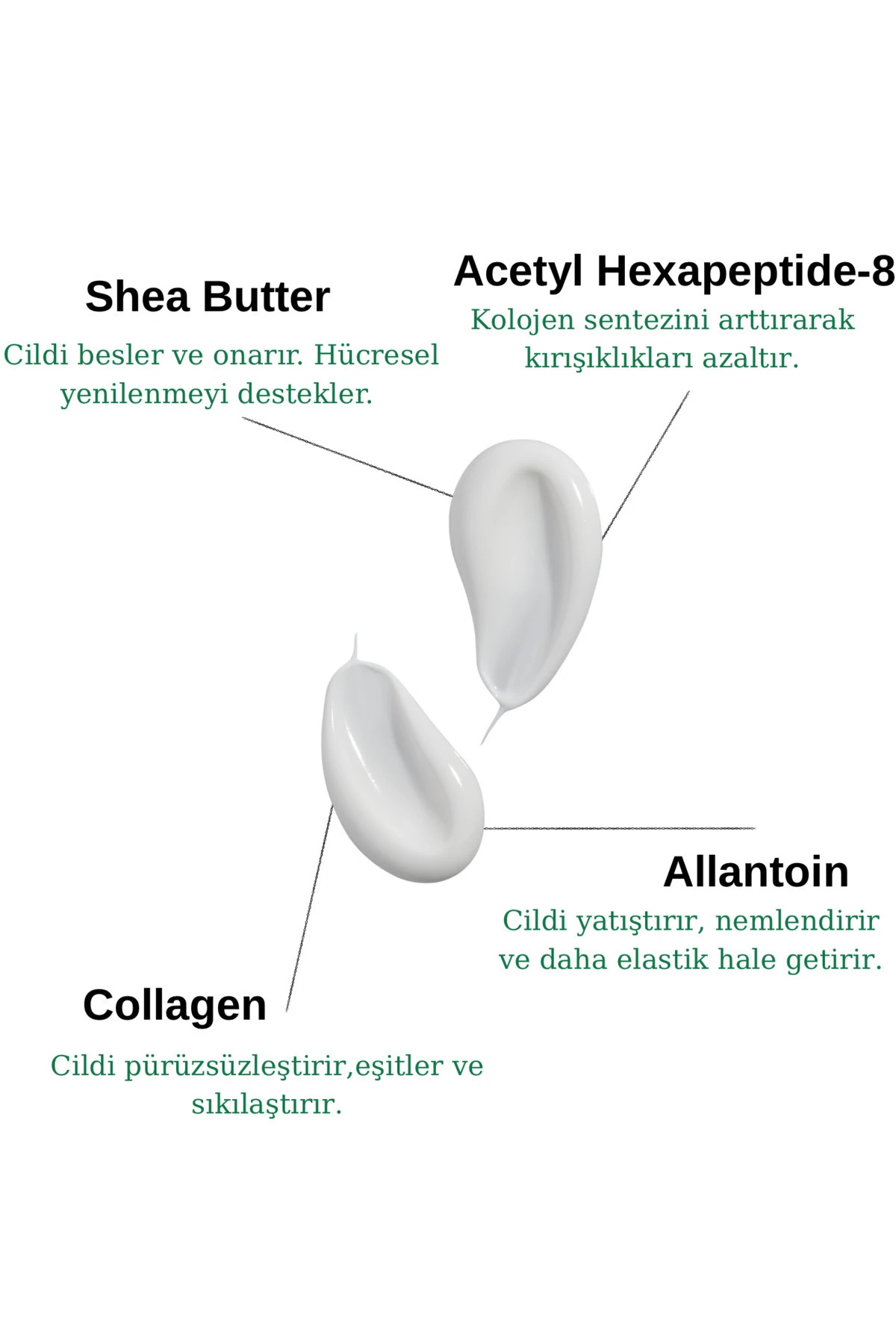 Yaşlanma Karşıtı Göz Çevresi Bakım Kremi | Anti-aging Eye Contour Care Cream (COLLAGEN)