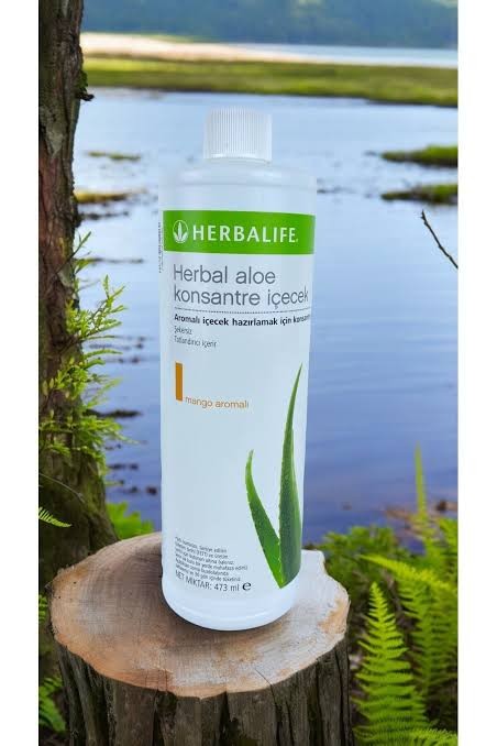 Herbalife Herbal Aloe Konsantre İçecek Mango Aromalı 473ml