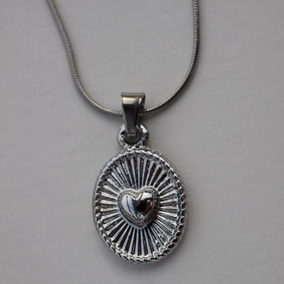 Basic Minimal Bombeli Kalpli Plaka Çelik Zincir Kadın Kolye