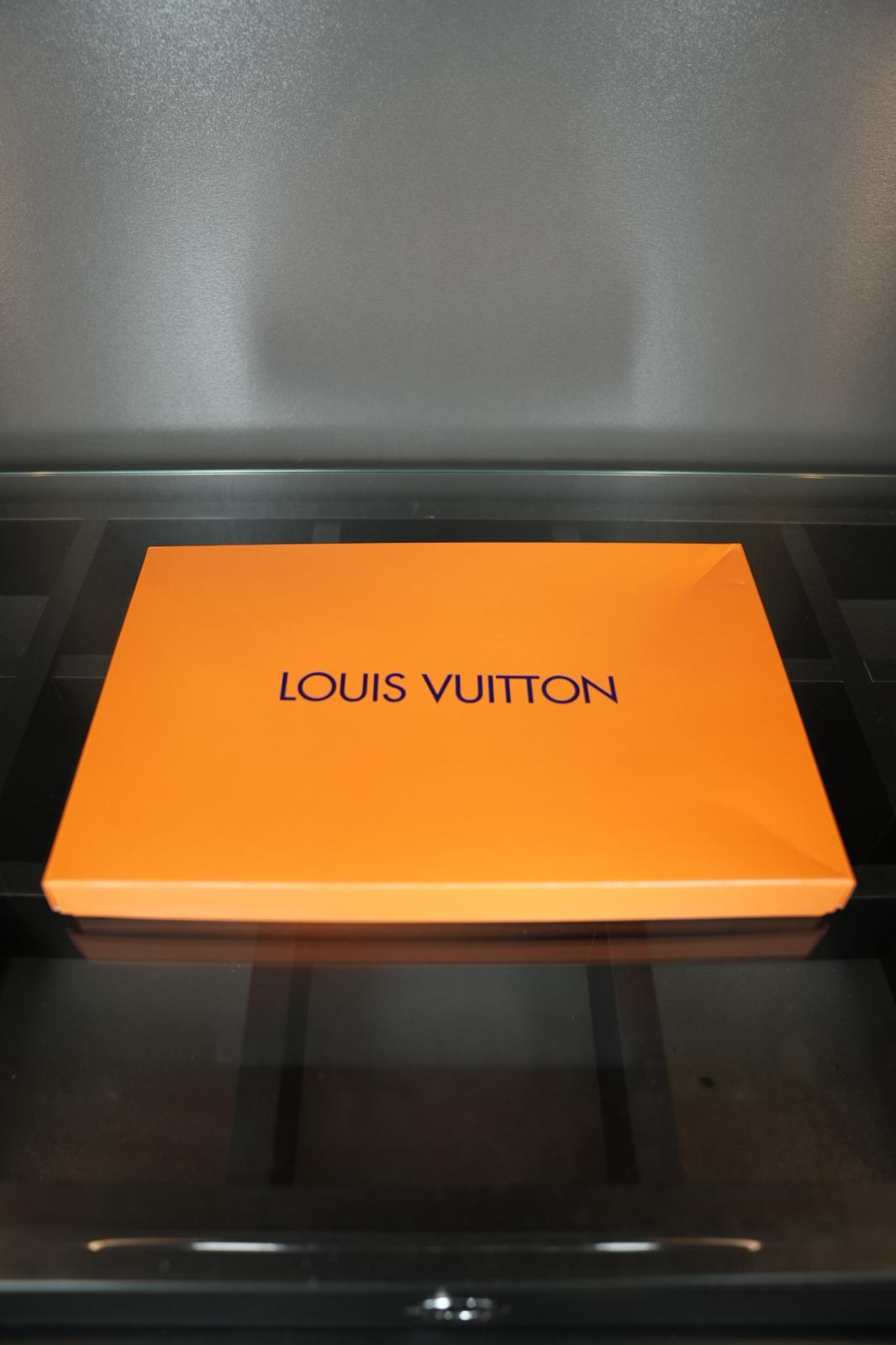 Louis vuitton atkı