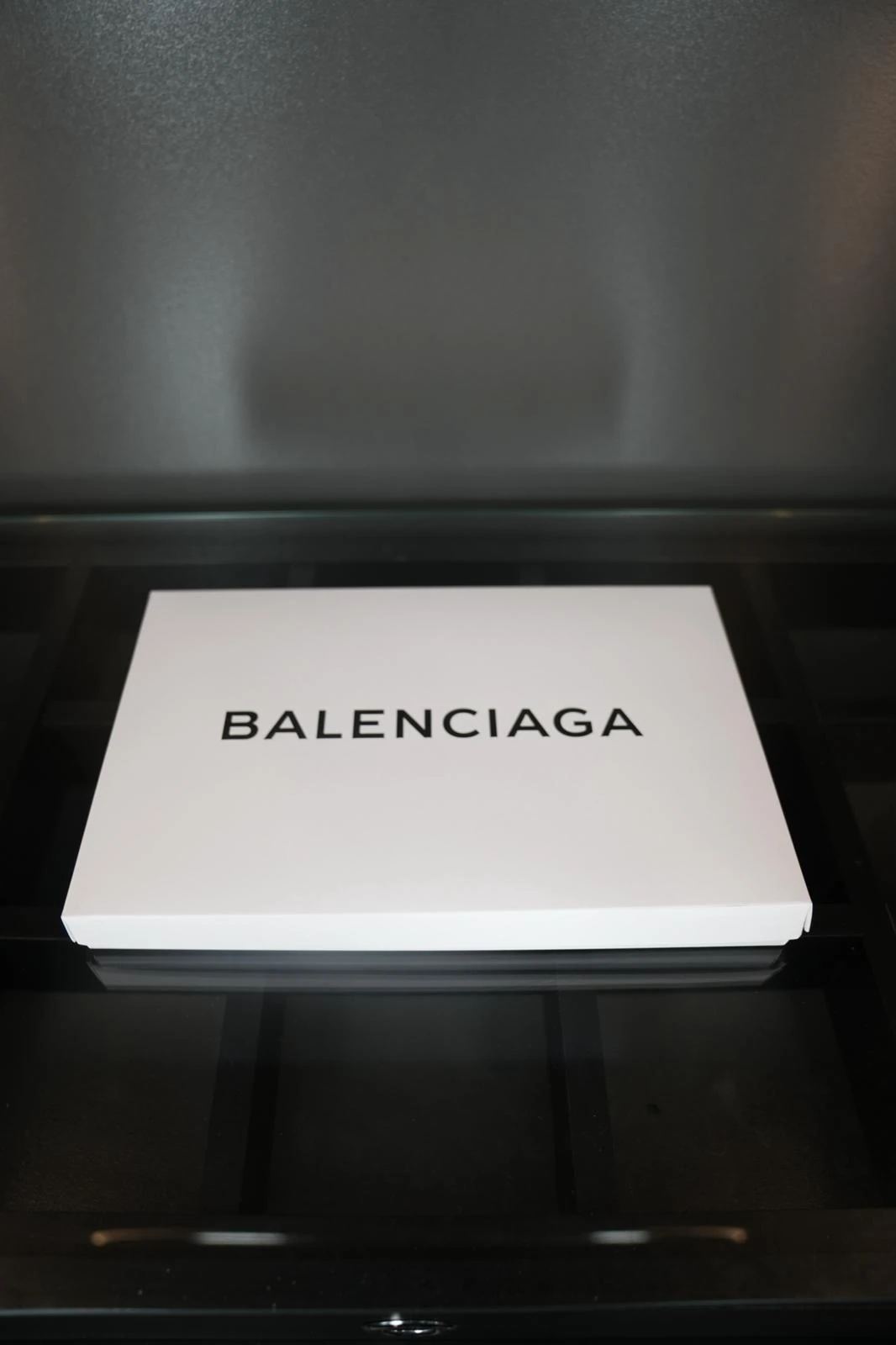 Balenciaga atkı