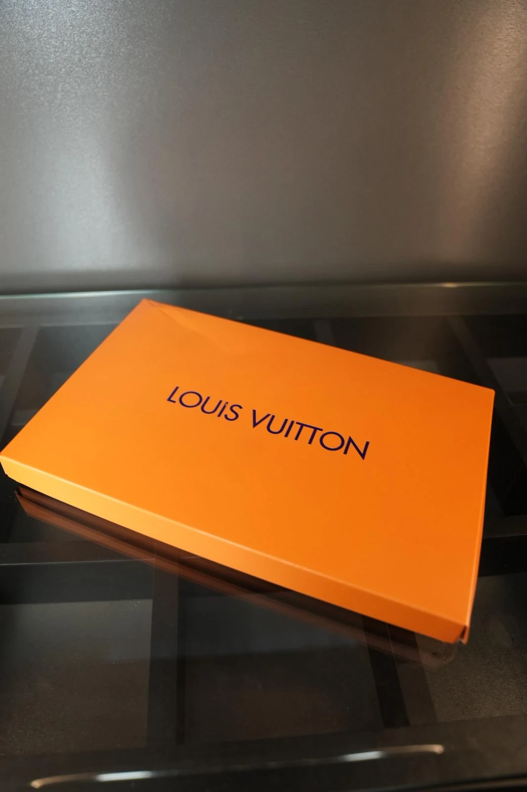 Louis vuitton atkı