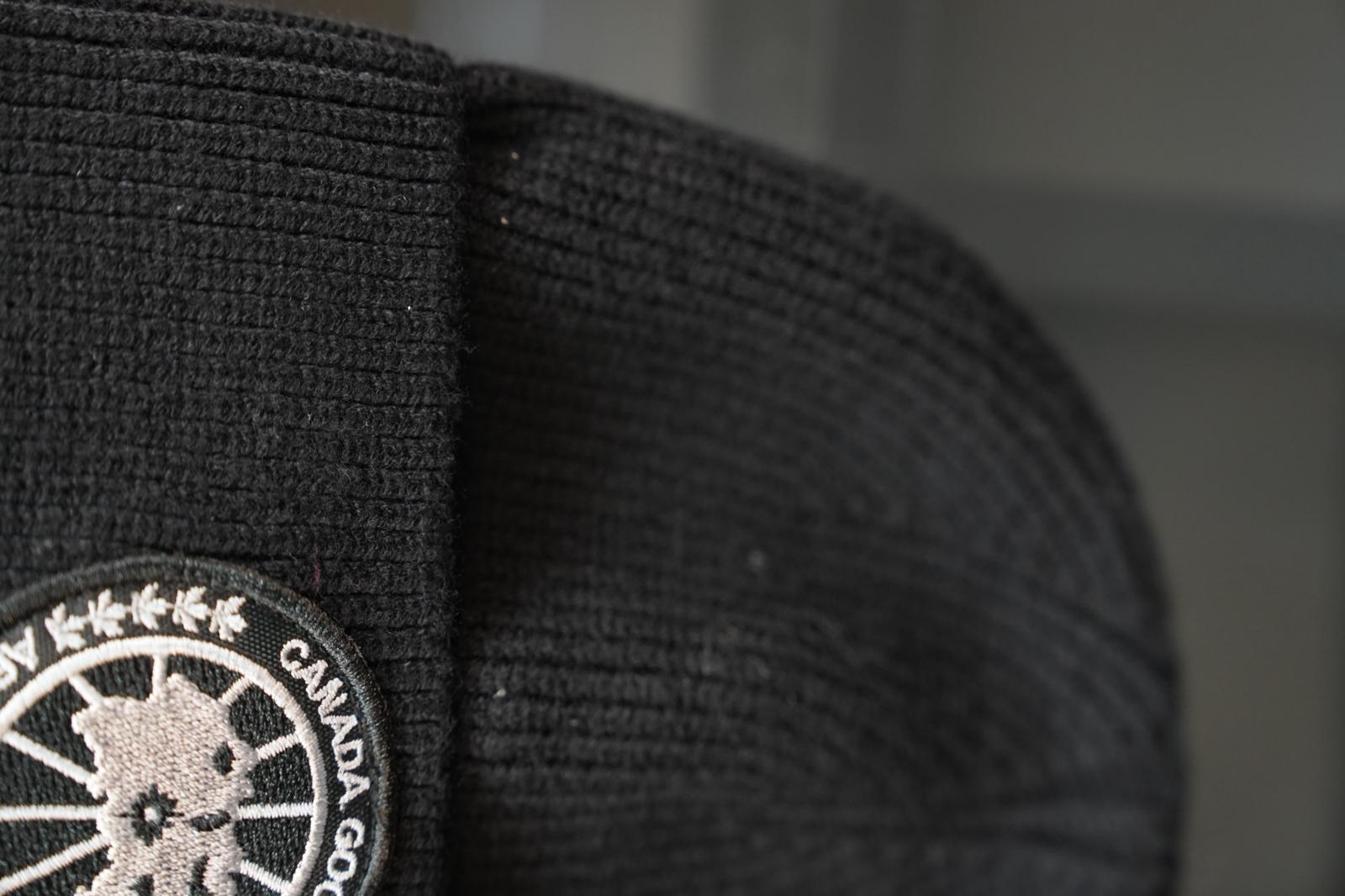 Canada goose bere