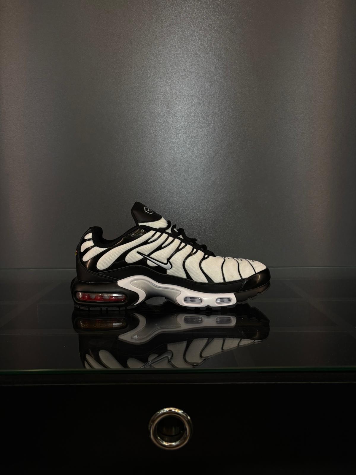 Nike air max plus