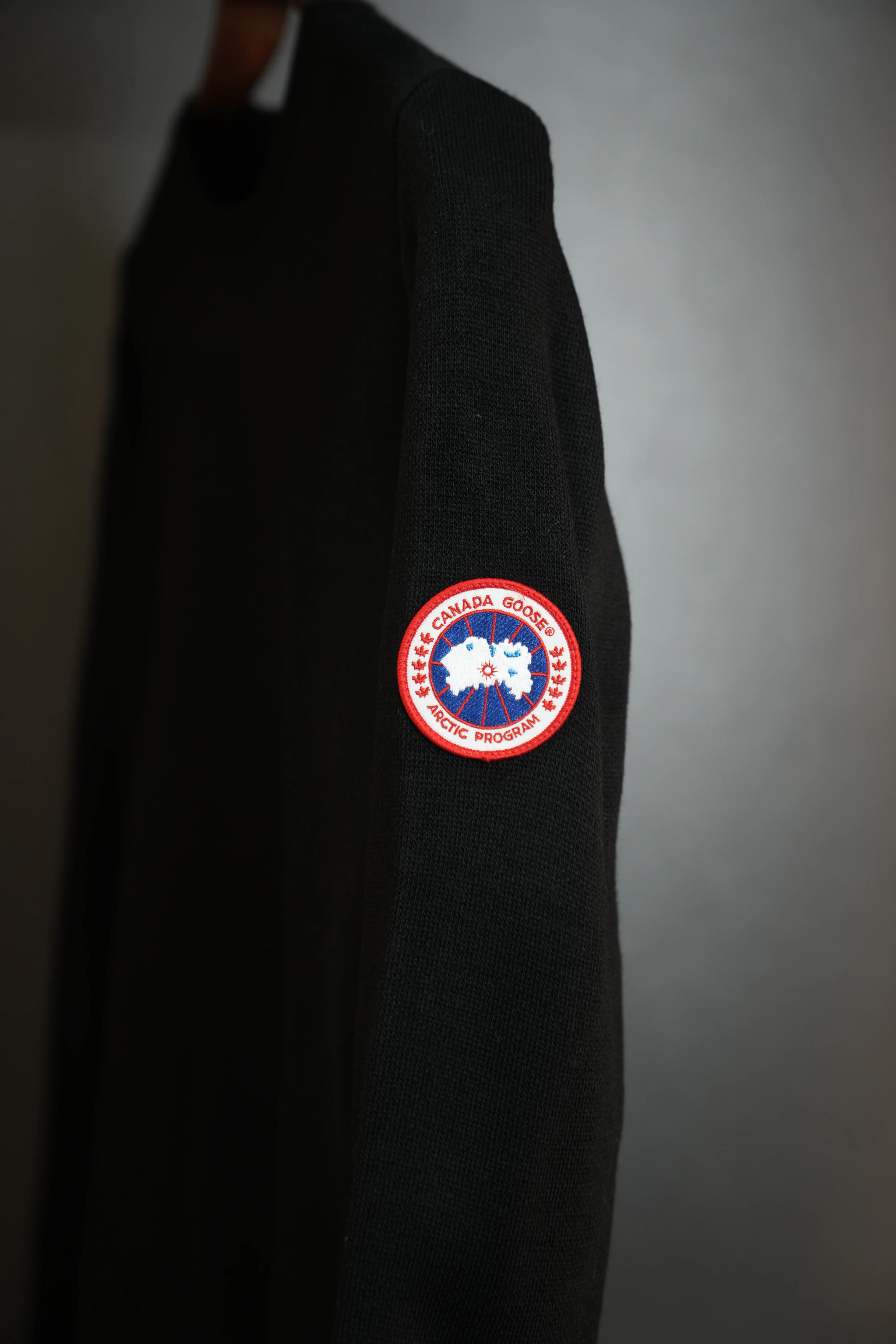 Canada goose kazak