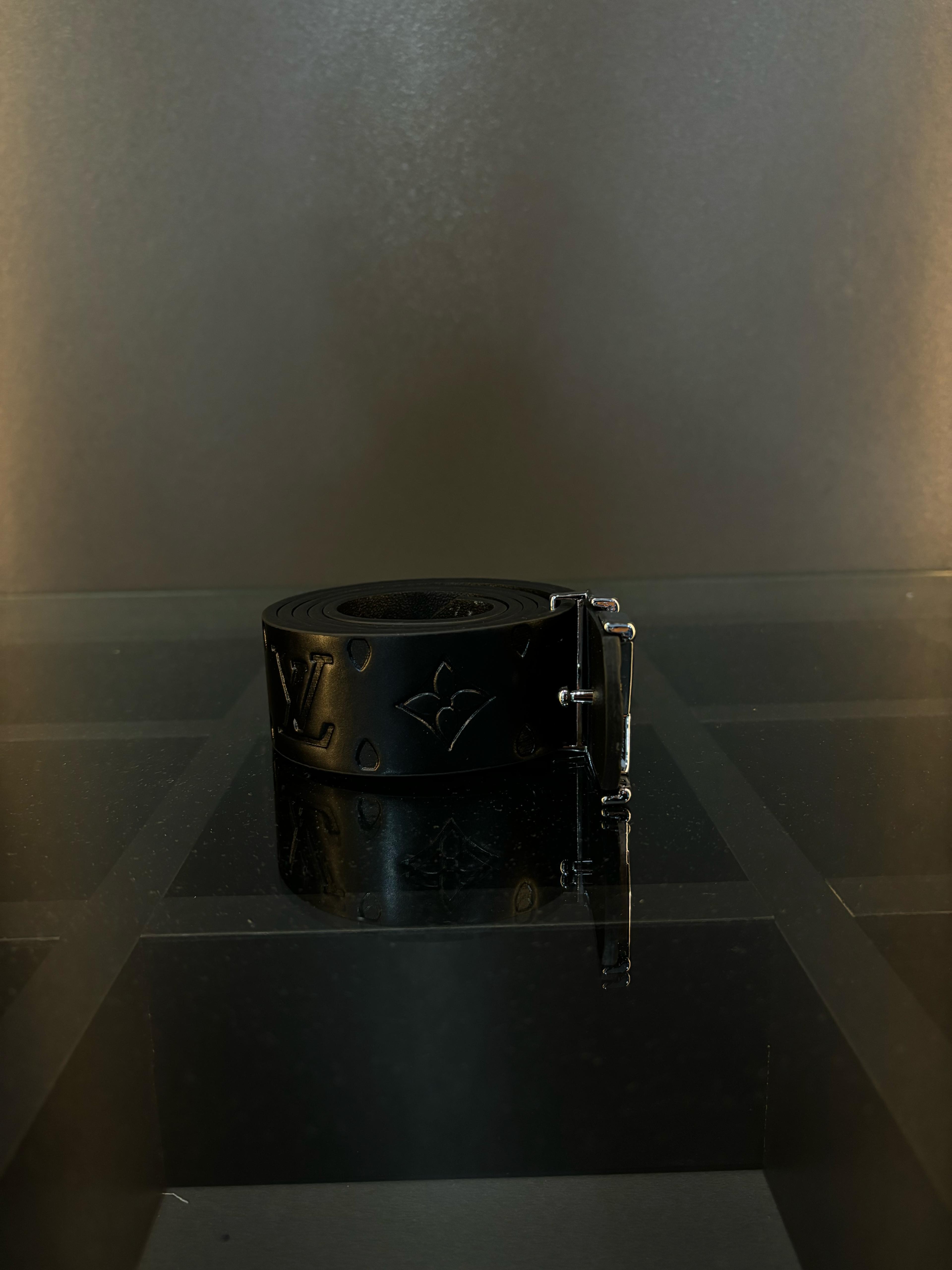 Louis vuitton kemer