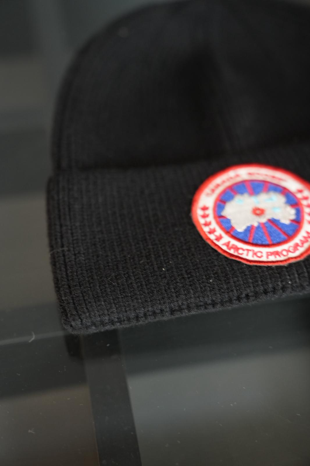 Canada goose bere