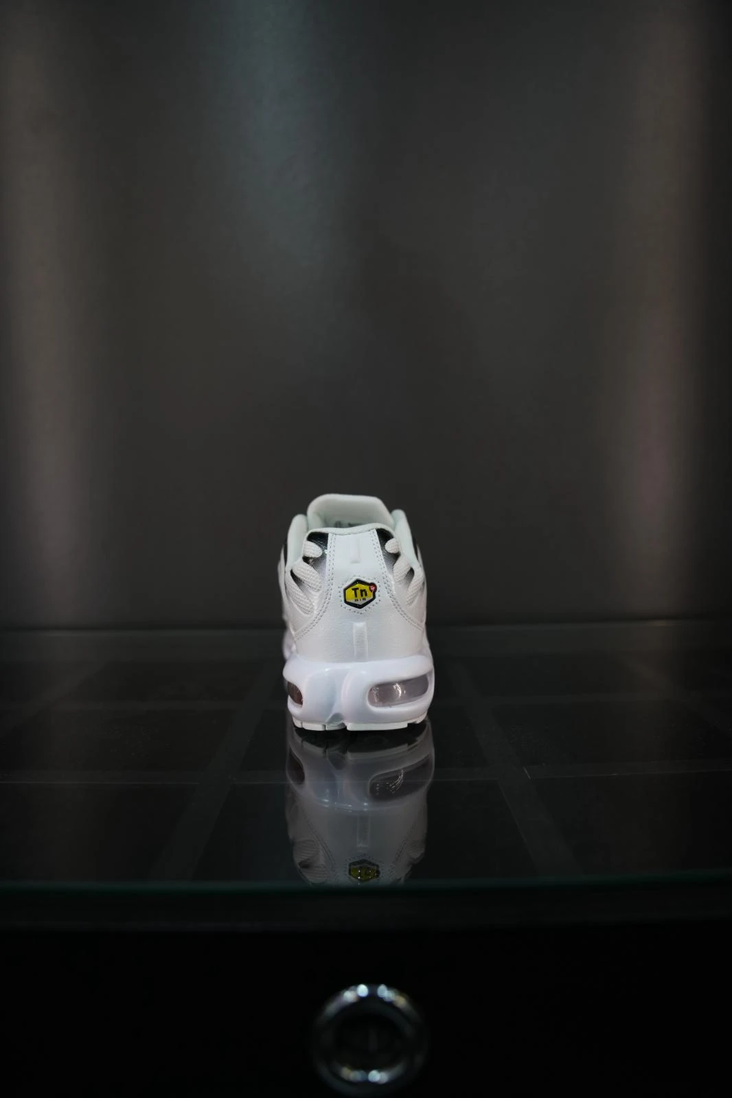 Nike air max plus TN