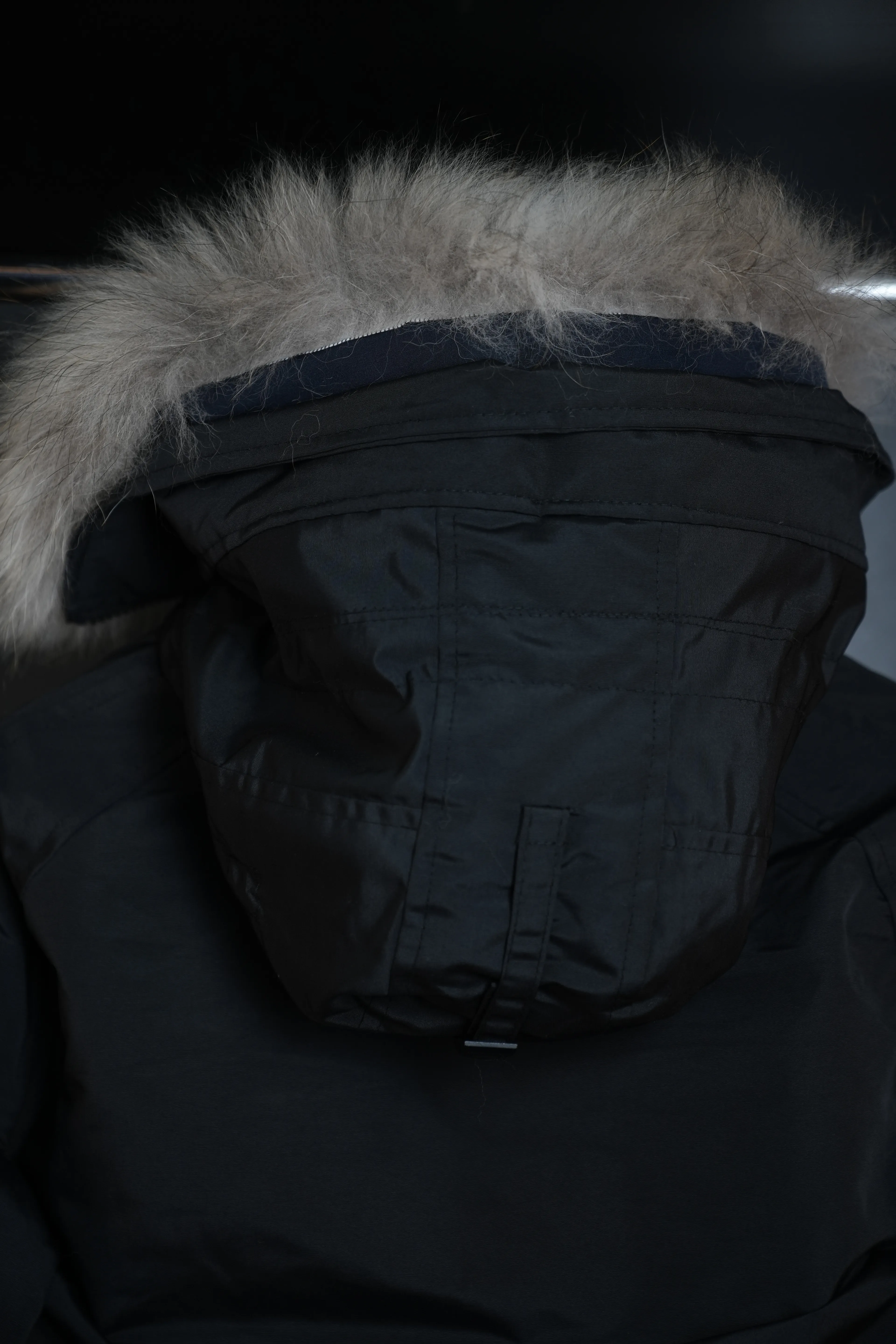 Canada goose mont