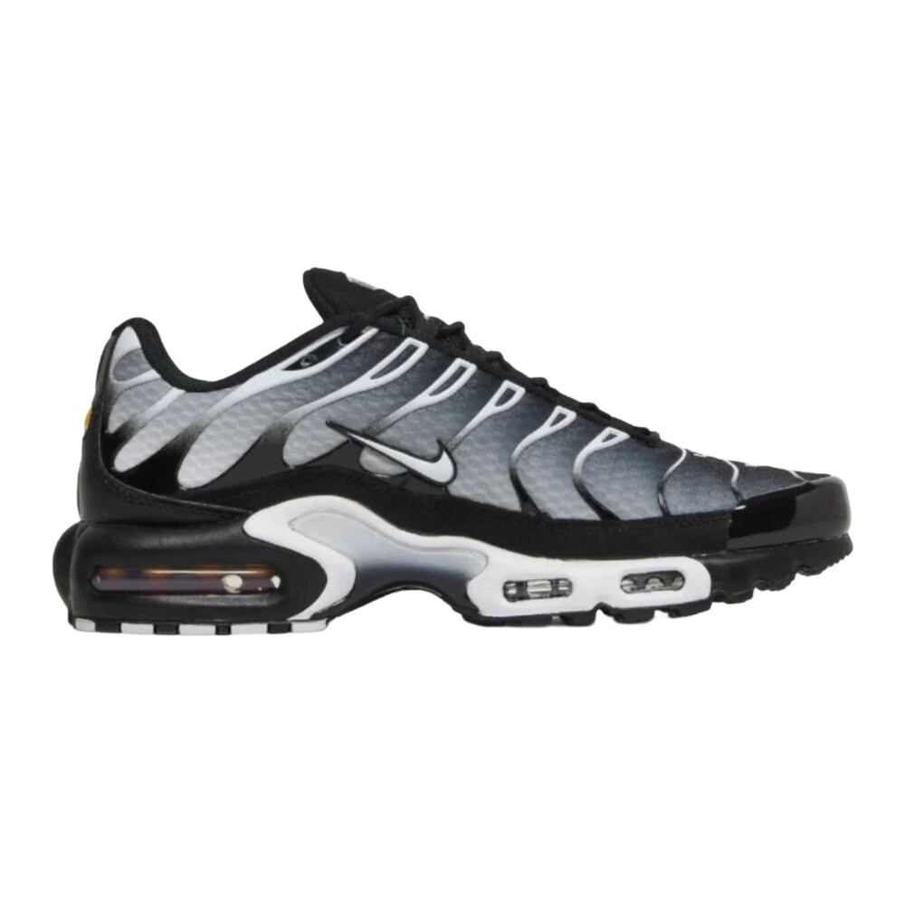 Nike air max plus