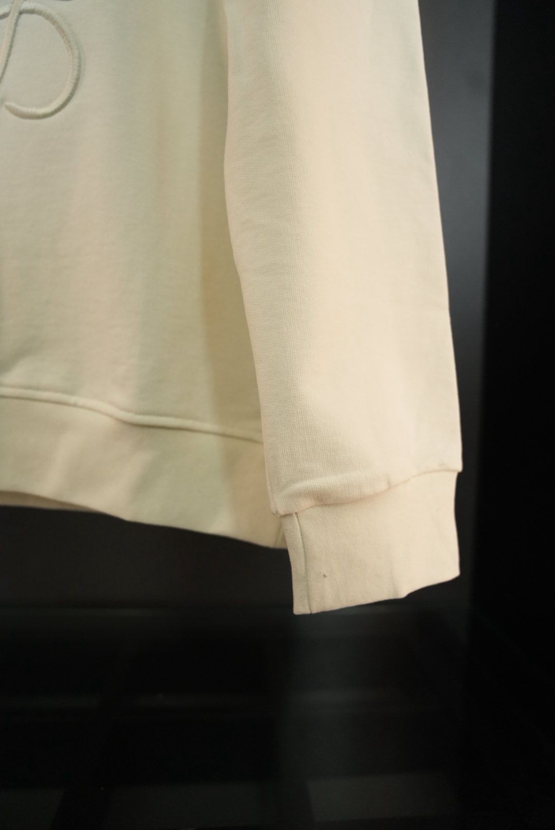 Loewe sweat