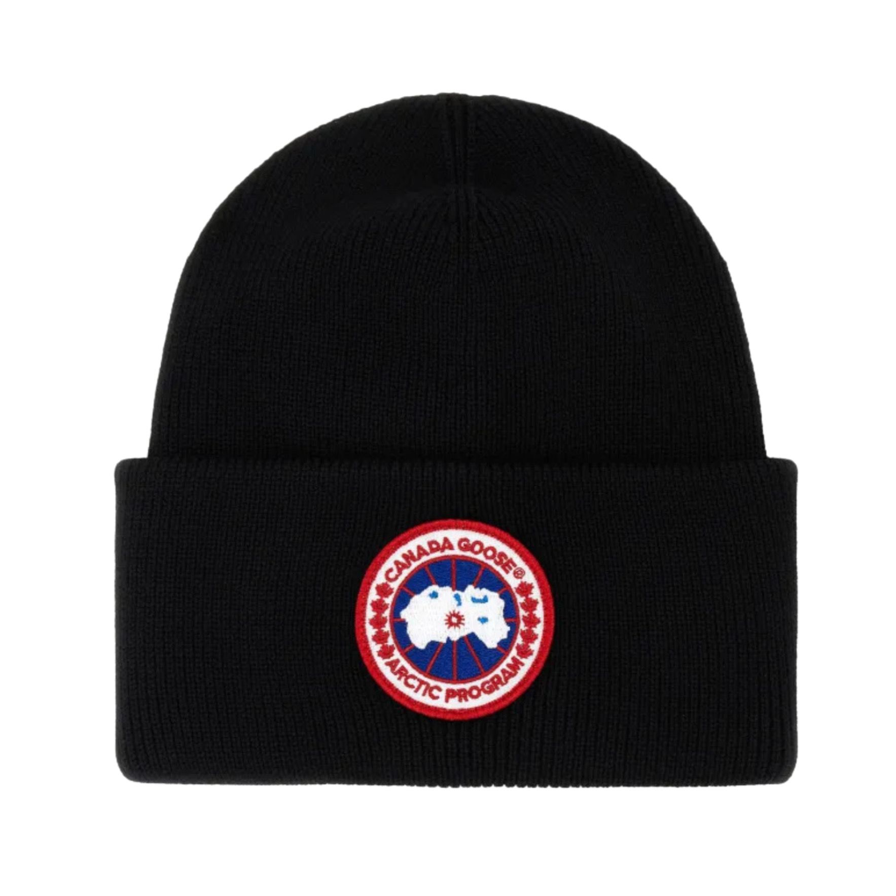 Canada goose bere