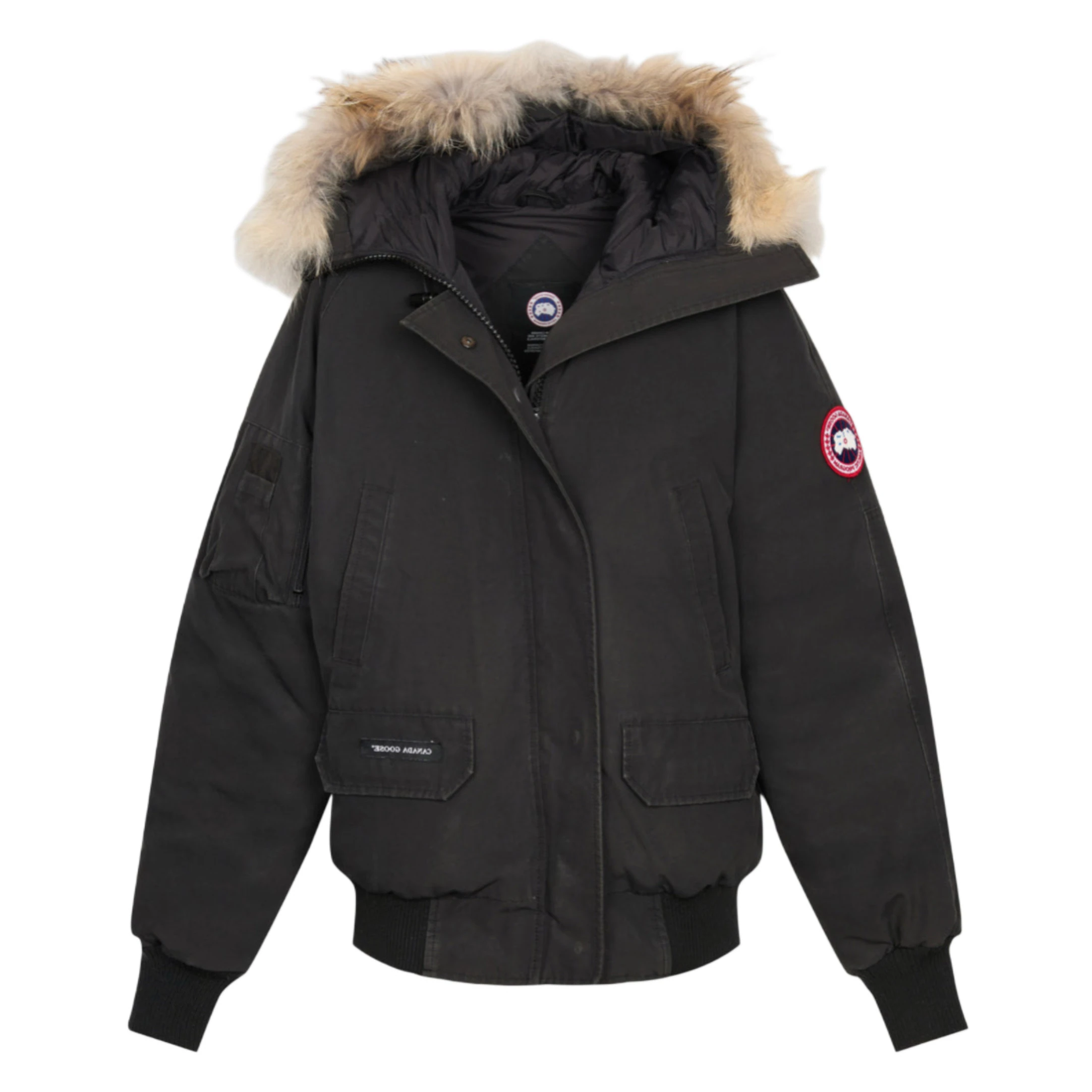 Canada goose mont