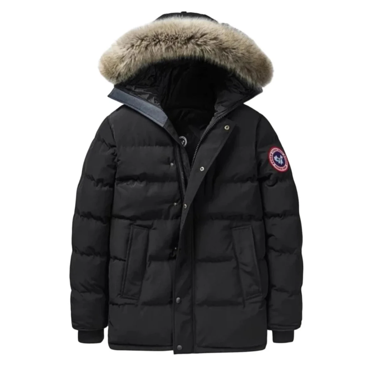 Canada goose mont
