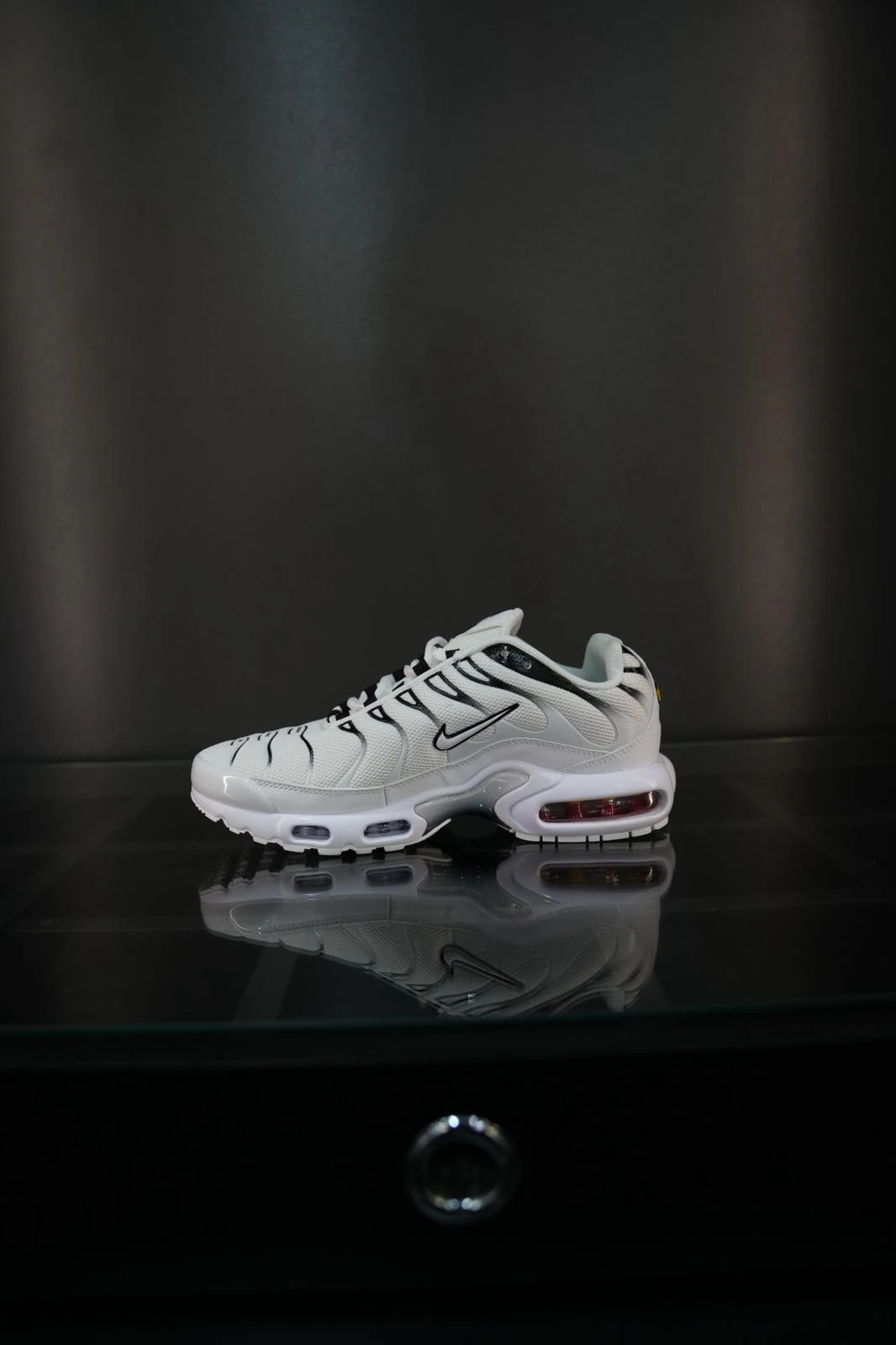 Nike air max plus TN