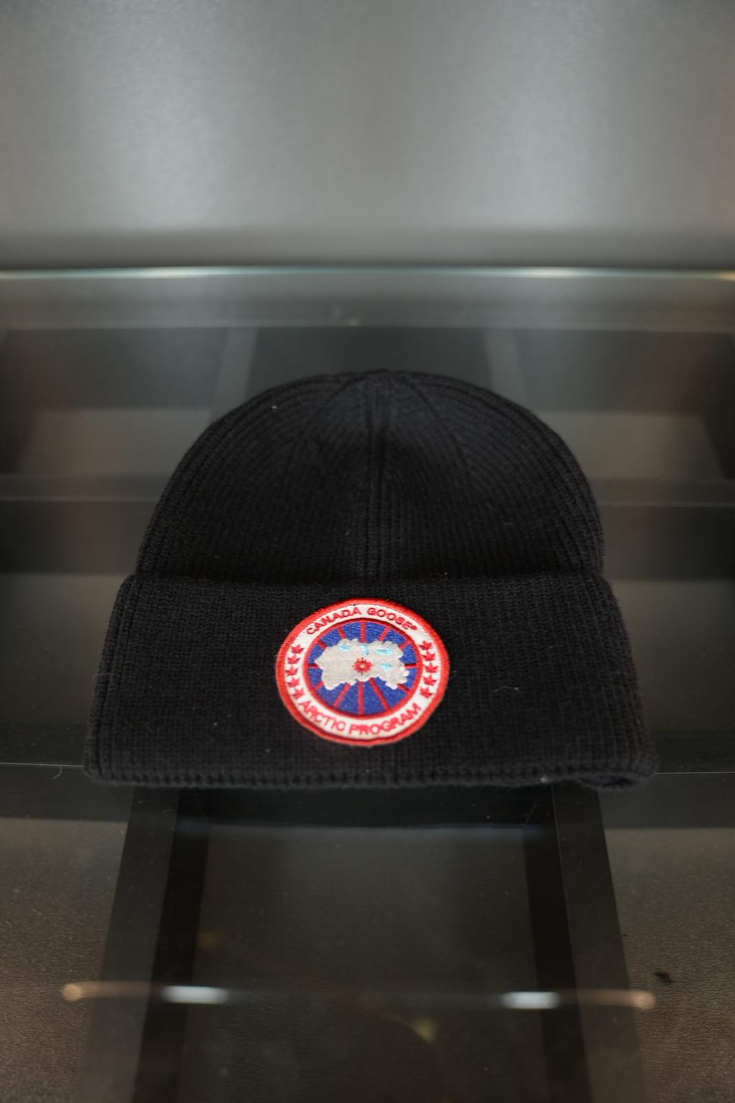Canada goose bere