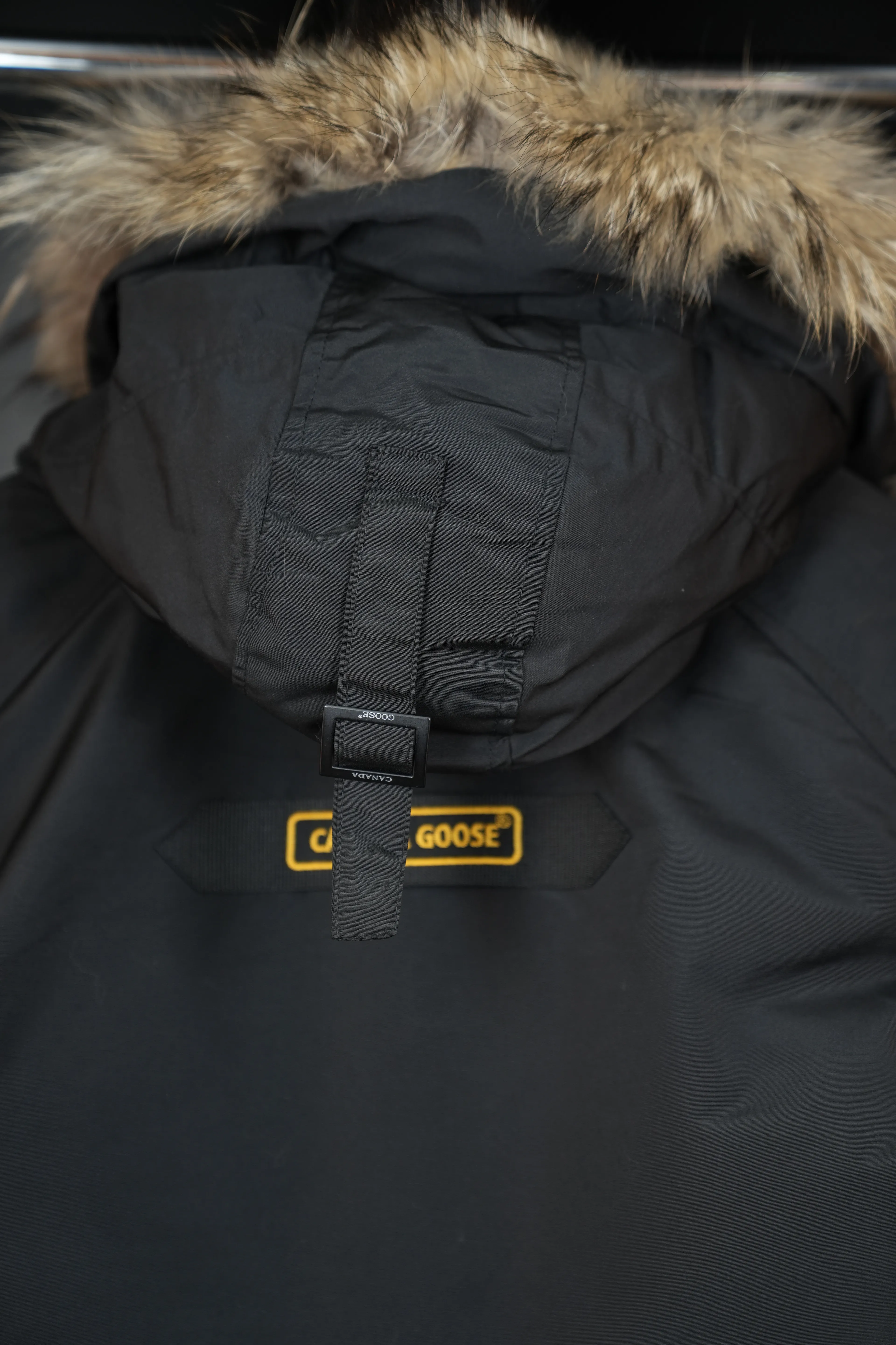 Canada goose mont