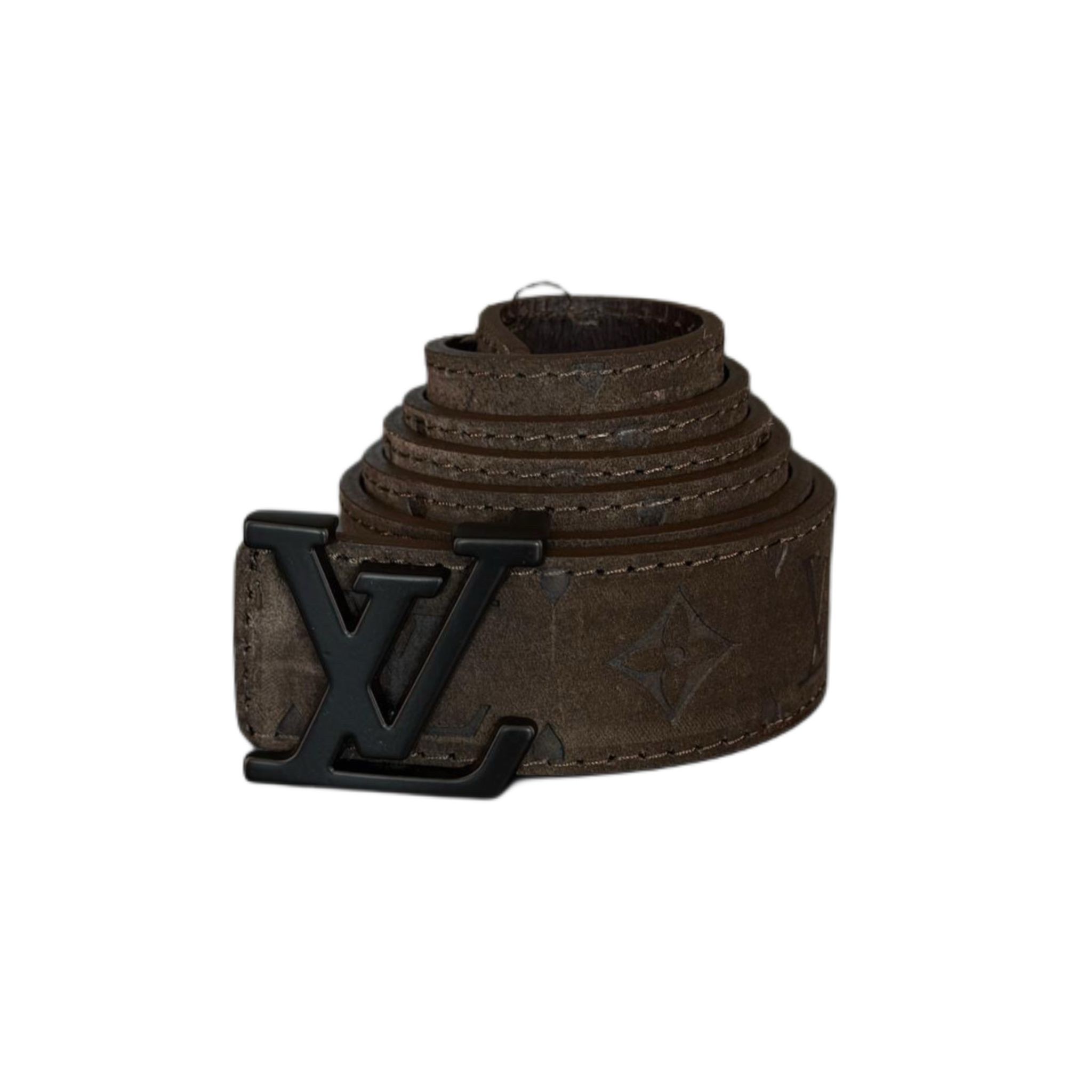 Louis vuitton kemer