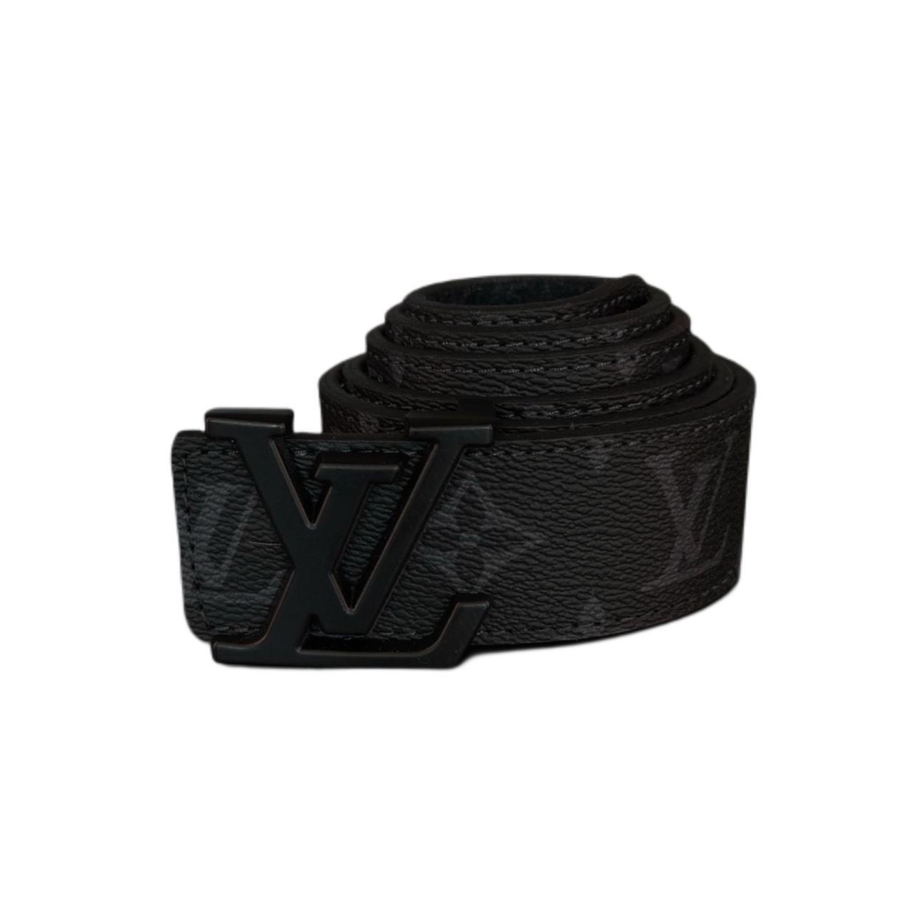 Louis vuitton kemer