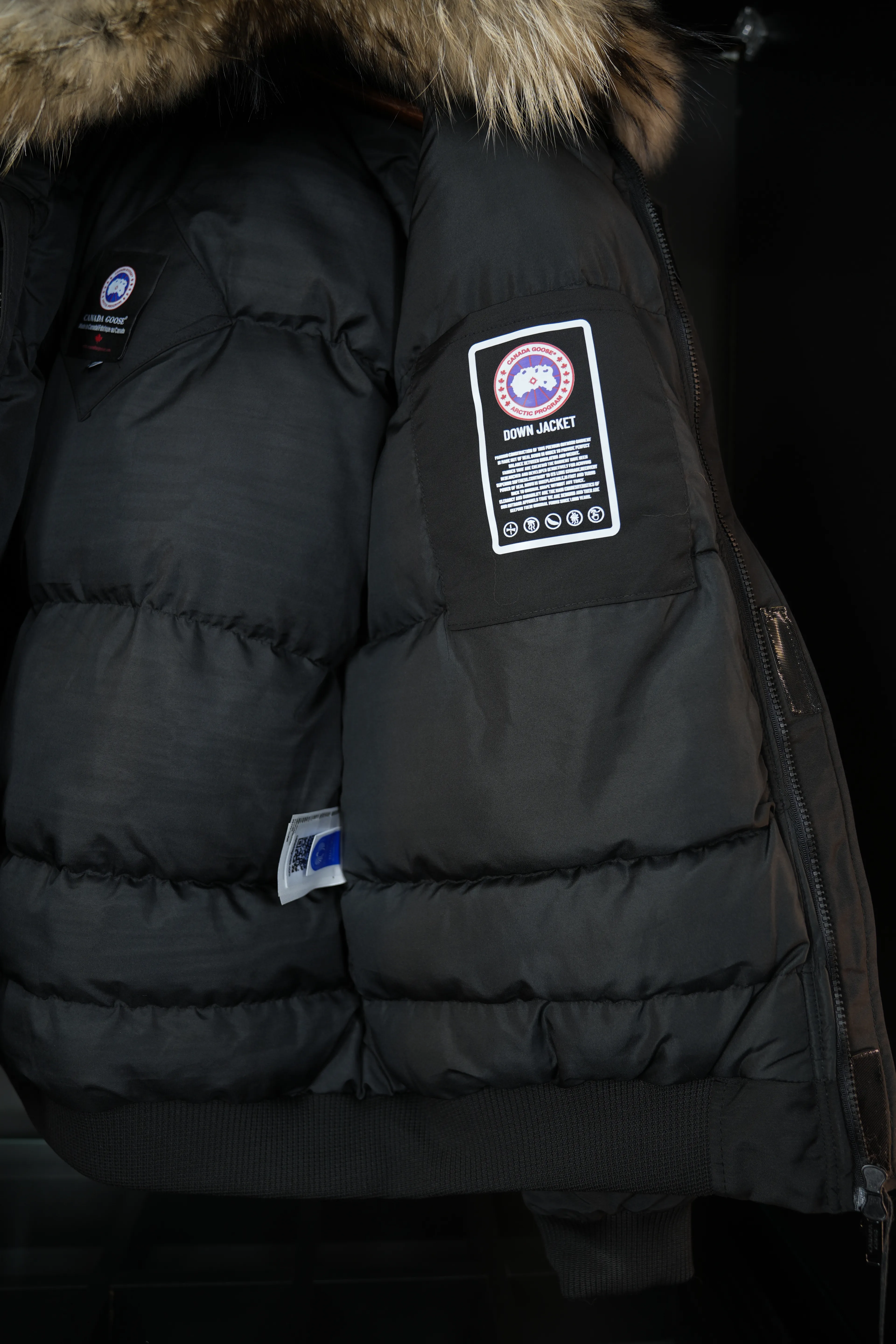 Canada goose mont